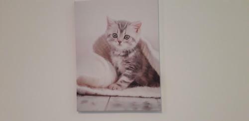 Apartamento Sweet House