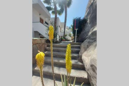Apartamento Arimar Seaview Puerto Rico