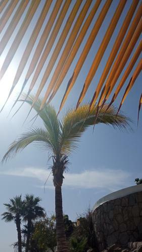 Apartamento Perla Canaria