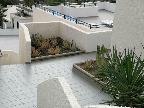 Marianela Apartment