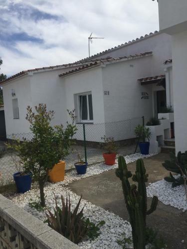 Casa Kneis