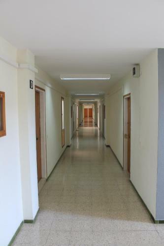 Absolute Apartment