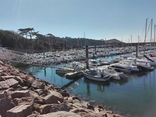Apartamento Vue Mer Proche Ploumanach