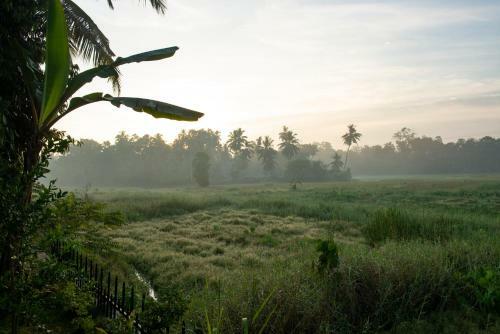Villa Budtt Farm
