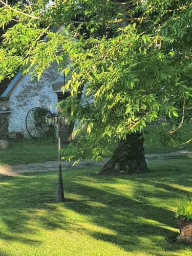 B&B Rando & K�rdi Juures O�
