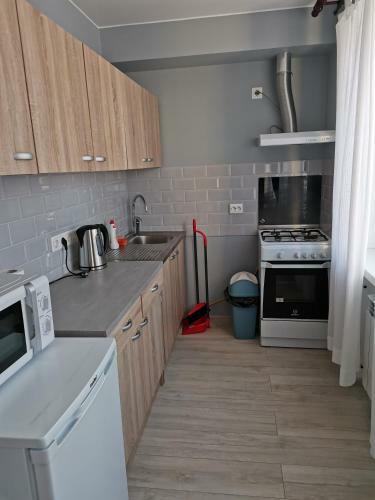Apartamento Pushkini 22-5