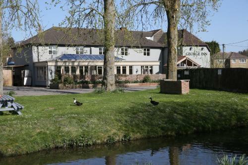 Hotel The George Inn