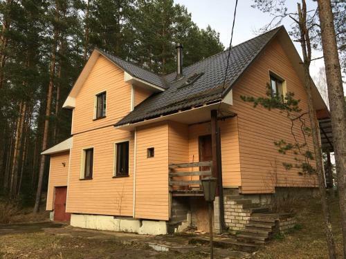 ?????? ??????? Svetofor ? Narva-j�esuu