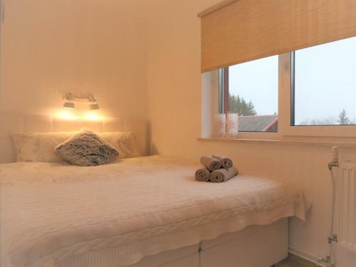 P�haj�rve Apartment