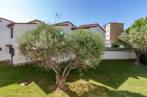 Apartamento Goldhome - Valira