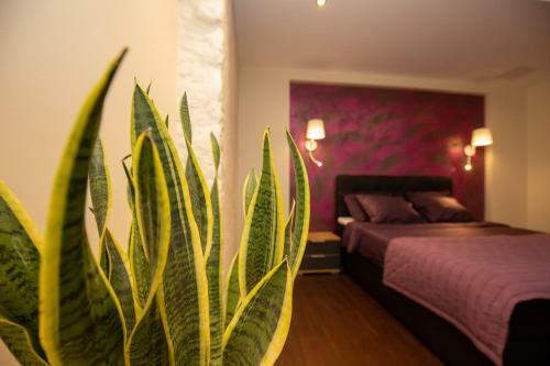 P54 Apartment
