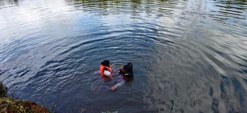 Bed & Breakfast Poonthanam Homestay