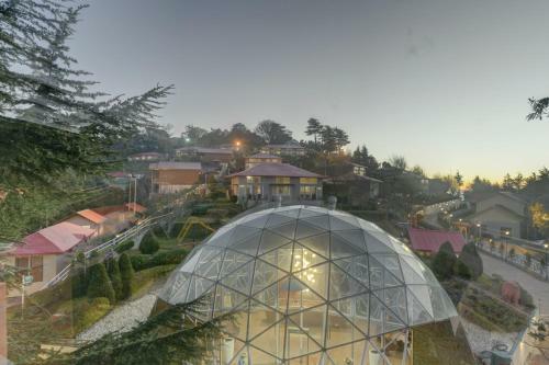 Hotel Tarika Resort & Spa - Chail