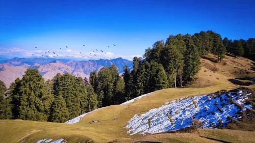 Panchvati Eco Homestay