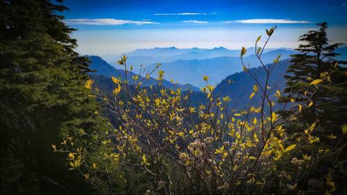 Panchvati Eco Homestay