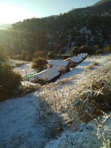 Panchvati Eco Homestay