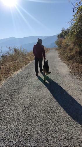 Panchvati Eco Homestay