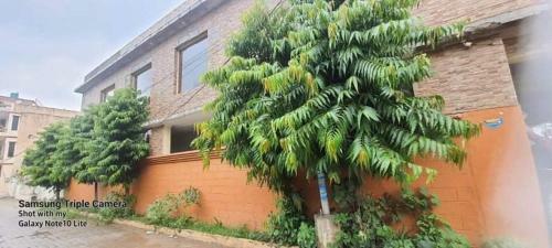 Chandigarh Villa