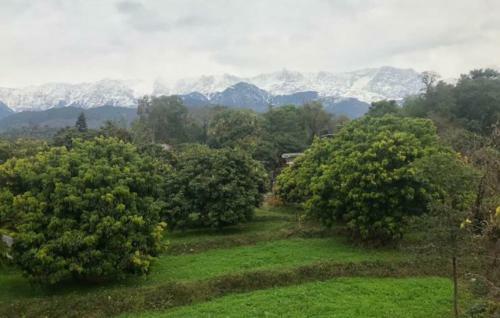 Bed & Breakfast Odyssey's Devbala Farm Stay