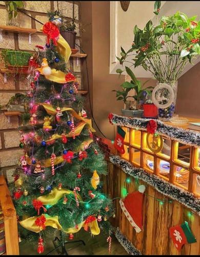 Hotel Aisha Guest House