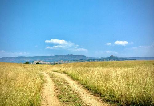 Savli Farms Camping And Adventures