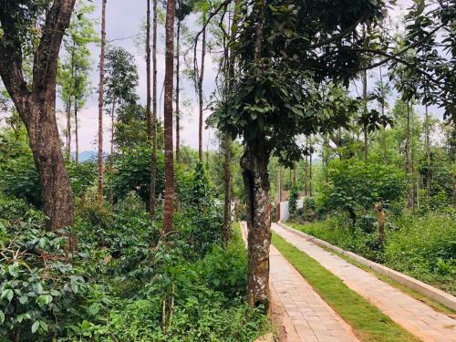 Silver Springs Homestay