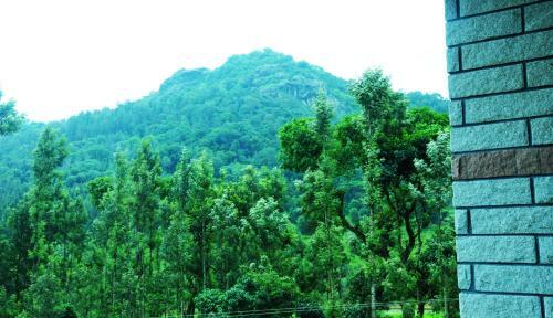 Honeyrock Homestay