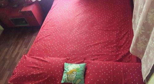 Tripthrill Karemane Homestay