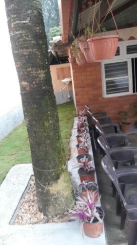 Tripthrill Karemane Homestay