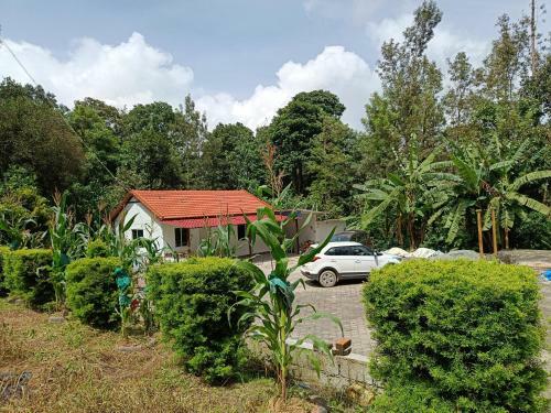 Bird Tweet Homestay