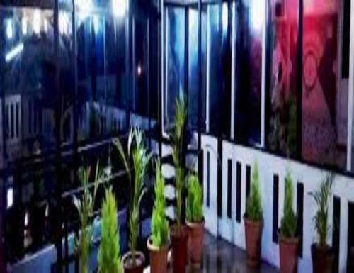 Tripthrill Green Leaf Mount Homestay