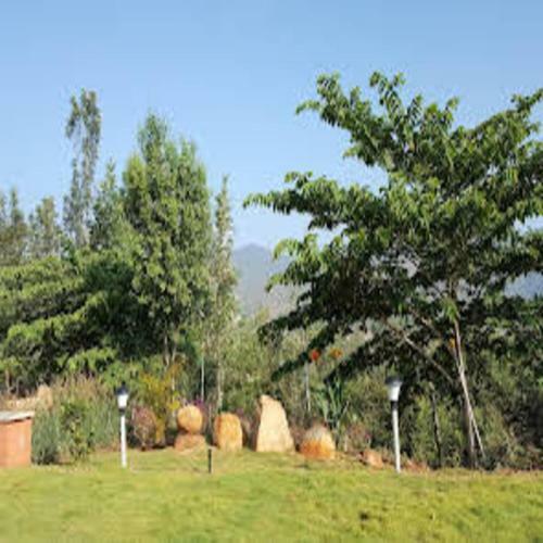 Tripthrill Siya Homestay