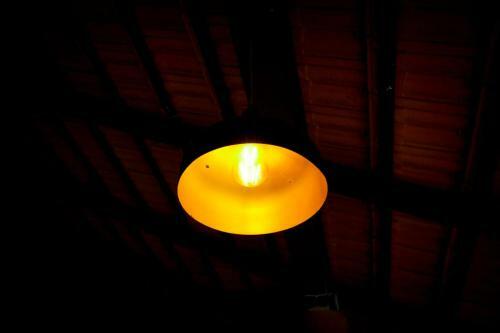 Lakeview Nest Homestay