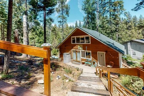 Beary Happy Cabin