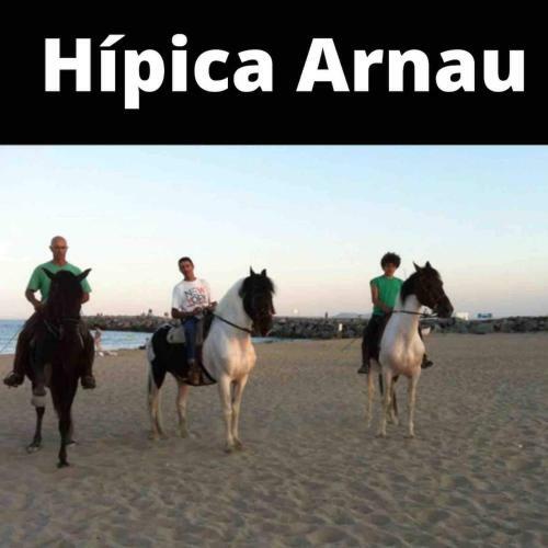 Apartamento Port Ducal