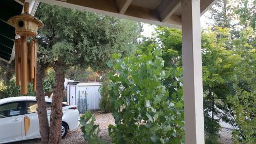 Zen Cottage In Big Bear