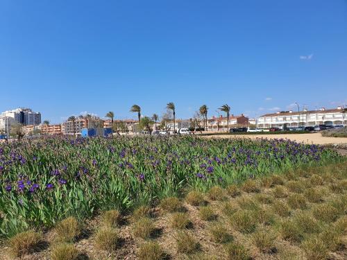 Apartamento Karina Beach-5