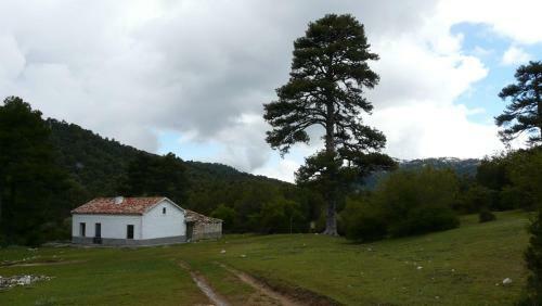 Agroturismo Villa Forastera
