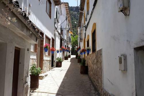 Apartamentos Los Olivos II