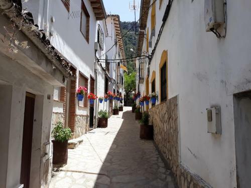 Apartamentos Los Olivos
