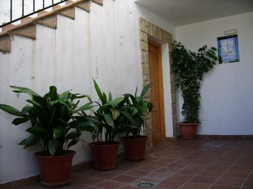 Agroturismo Los Olivos