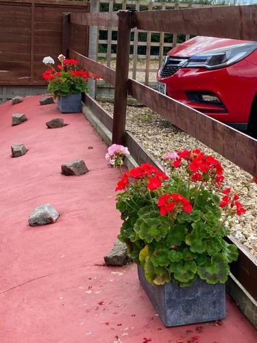 Hostal Willow Tree Cottages