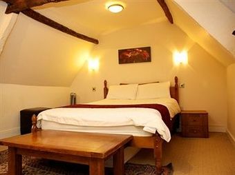 Hostal The Green Room
