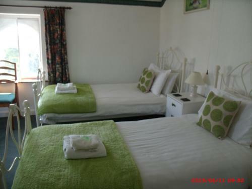 Hostal The Golden Lion Hotel