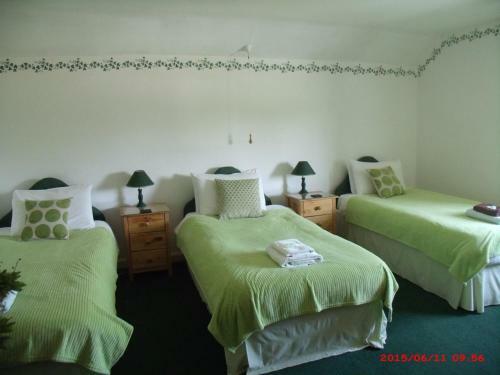 Hostal The Golden Lion Hotel