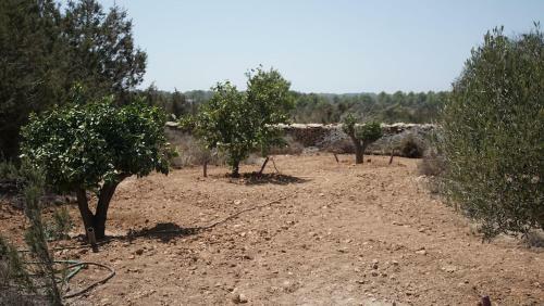Villa Es Cau