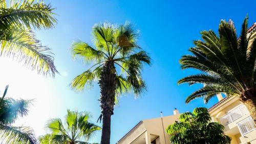 Apartamento Las Americas Front Line Ocean