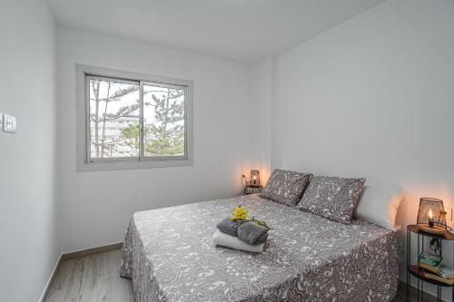 Apartamentos En El Dorado