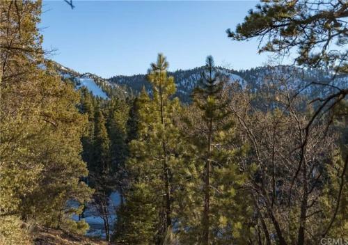 Big Bear Treehouse