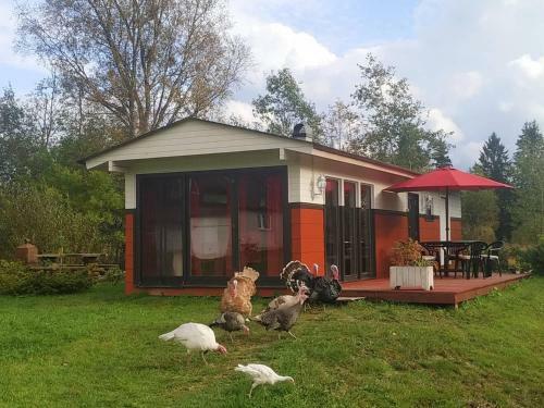 Parila Holiday House With Sauna